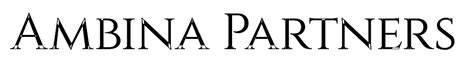ambina partners|ambina partners llc.